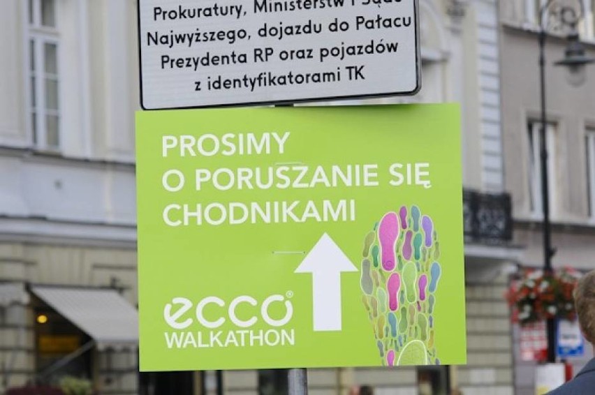 Największy charytatywny spacer na świecie wraca do Polski i...