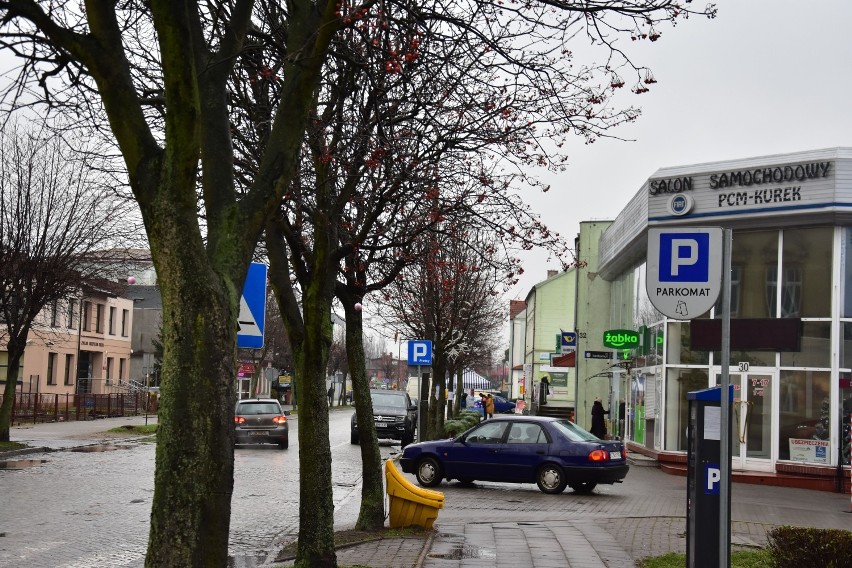 Mieszkańcy Żnina w obronie alei drzew na ulicy 700-lecia...