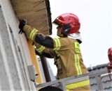 W Sławnie strażacy ratowali jerzyka zaplątanego w sznurek ZDJĘCIA