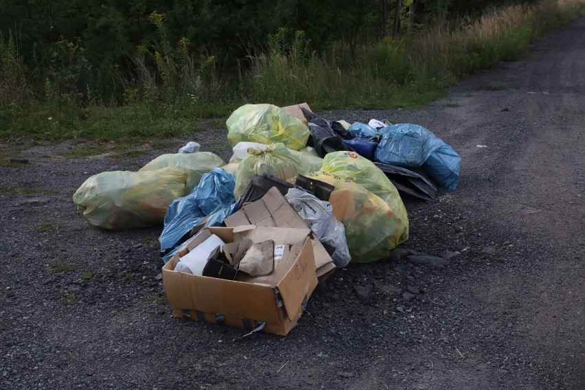 Kolejne dzikie wysypisko śmieci w Legnicy, zobaczcie aktualne zdjęcia