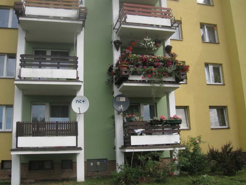 W Starachowicach nagrodzili za najładniejsze balkony i ogródki