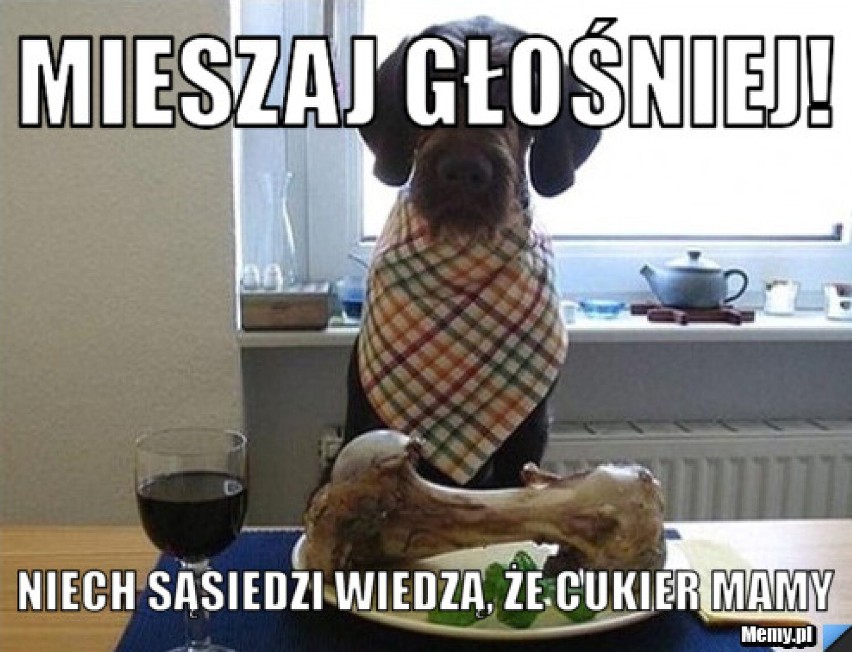 MEMY na Dzień Sąsiada 2021. Zobacz te najśmieszniejsze! Jak się dziś czujemy sąsiedzie?