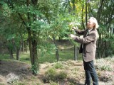 O symptomach jesieni rozmawialiśmy z dyrektorem Śląskiego Ogrodu Botanicznego w Mikołowie