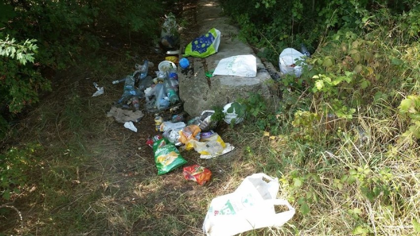 Śmieci na kąpielisku Bolko w Opolu