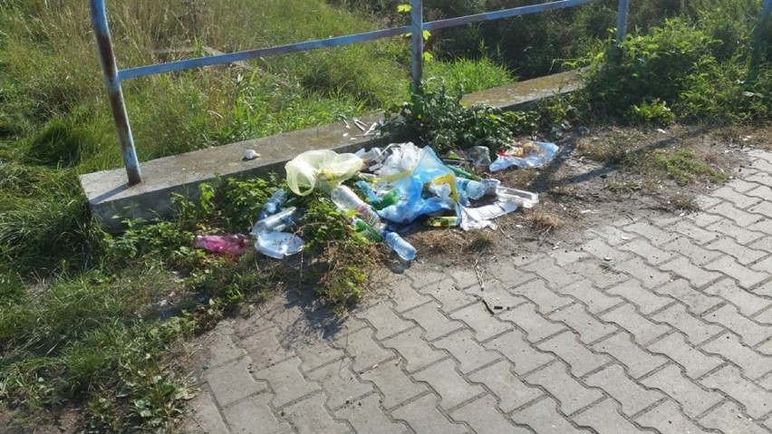 Śmieci na kąpielisku Bolko w Opolu