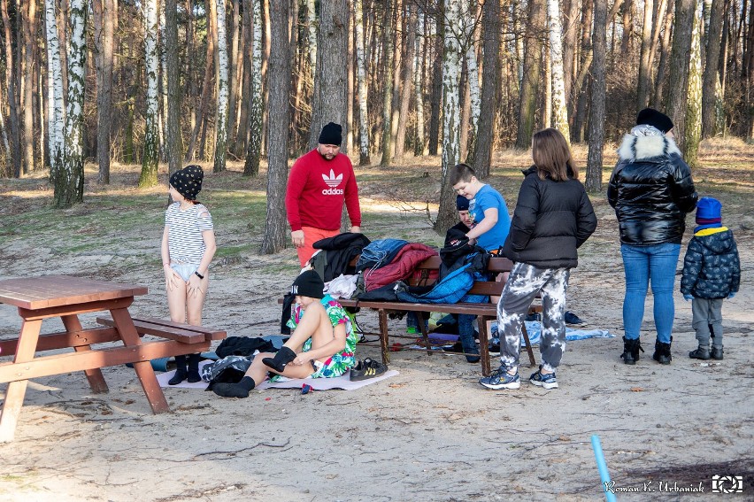 Niedzielna kąpiel morsów w gołuchowskim zalewie