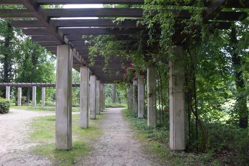Park Miejski w Sycowie w letniej odsłonie. Tak prezentuje się zielona wizytówka miasta