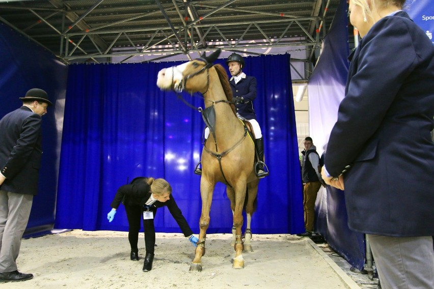 Cavaliada 2018 w Lublinie. Wielkie święto jeździectwa za nami (ZDJĘCIA)