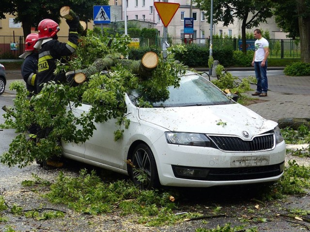 Lębork. Drzewo spadło na samochód