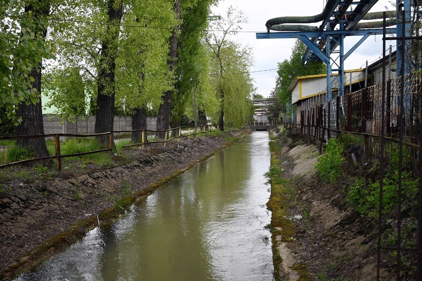 Z kopalni Olkusz-Pomorzany nadal odpompowywana jest woda w...