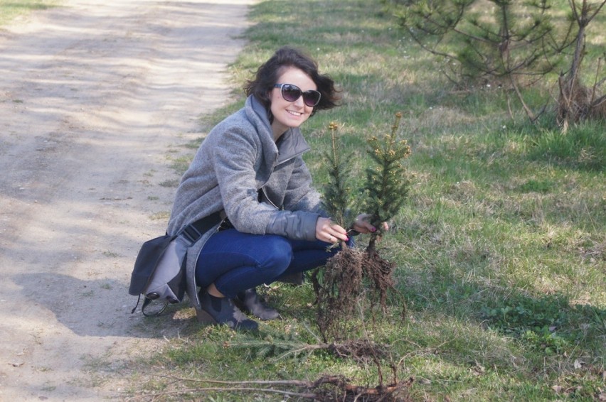 Radomsko: Sadzą drzewa przy zbiorniku na Wymysłówku