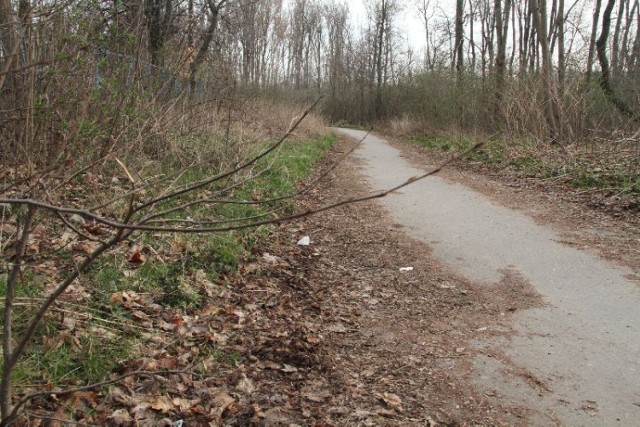 Rowerzyści skarżą się na stan ścieżki wokół kieleckiego zalewu. Liście zalegające na asfalcie uniemożliwiają jazdę.