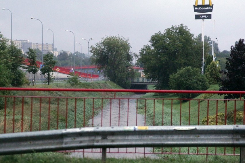 Pogodowy armagedon w Lublinie i okolicach. Strażacy cały czas pracują, aby drogi były przejezdne. Zobacz