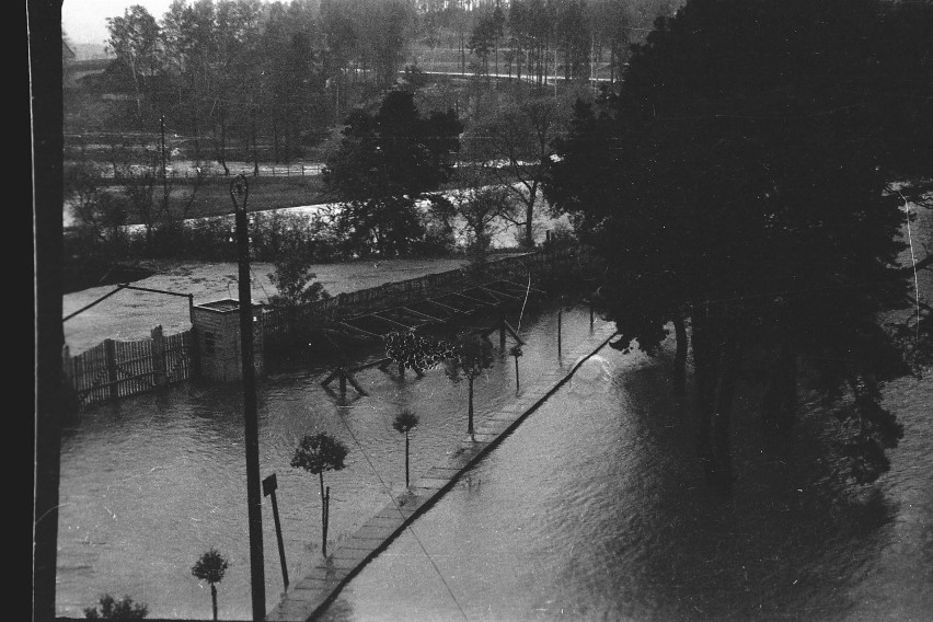 Wielka powódź w Skarżysku - 80 lat temu woda rozerwała tamę na Rejowie. Zobacz unikatowe zdjęcia!