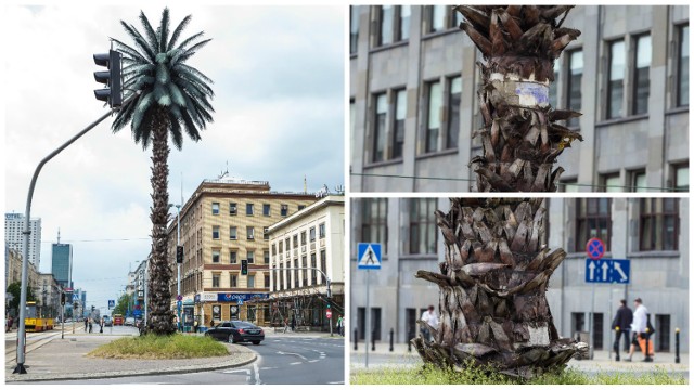 Palma na rondzie de Gaulle się sypie! [ZDJĘCIA]

Zobaczcie też:Lofty de Girarda. Mieszkanie z duszą w stuletniej przędzalni [ZDJĘCIA, WIDEO]