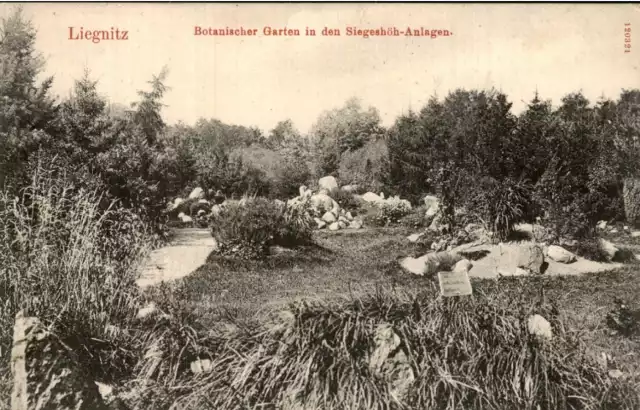 Ogród botaniczny na terenie Lasku Złotoryjskiego istniejący tam od 1901 r.