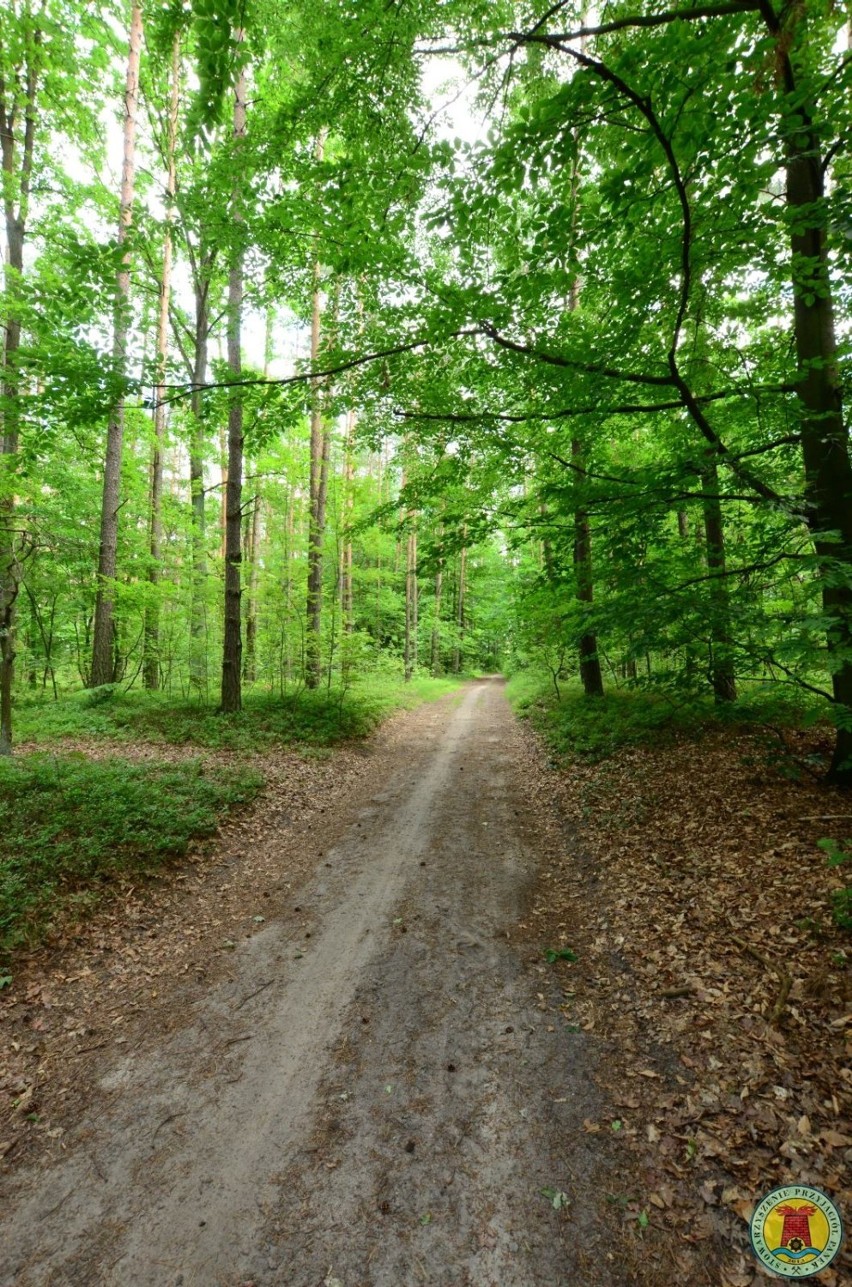 Trasa zdrowia w Pankach gotowa