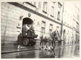  W zaprzęgu, na Błoniach, w służbie - konie w dawnym Krakowie [zdjęcia]