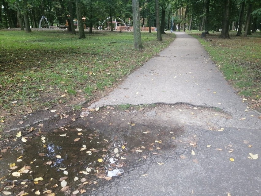 Rusza przebudowa Parku Miejskiego w Sandomierzu. Przez kilka miesięcy przejście przez parkowe alejki będzie niemożliwe [ZDJĘCIA]