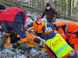Ratownicy GOPR Bieszczady pomogli pracownikowi leśnemu