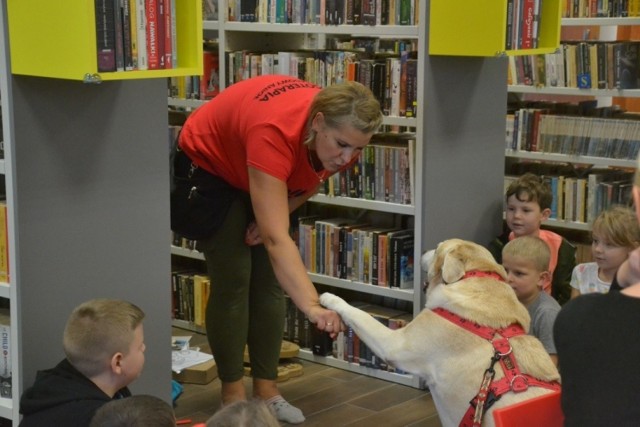 Biblioteka w Wielgiem zorganizowała obchody Dnia Kundelka, czyli wszystkich psów wielorasowych. Nikogo nie trzeba chyba przekonywać, że pochodzenie wcale nie jest najważniejsze. Liczy się ta bezgraniczna miłość, którą pies obdarza człowieka.
Najpierw przeprowadzono zbiórkę karmy dla miejscowego Kundelkowiska, bo, niestety, ale nie wszystkie czworonogi mają kochającego człowieka. W piątek najmłodsze dzieci czekała niespodzianka. Odwiedził je labrador Ramzes. Wprawdzie to psi arystokrata, ale nosa nie zadziera. Ze swoją przewodniczką Anetą tworzą zgrany dogoterapeutyczny duet. Dogoterapia sprawdza się zarówno w pracy z dziećmi, jak i Z osobami niepełnosprawnymi. Jest bowiem uniwersalna - nadpobudliwe dzieci wycisza, a nieśmiałe ośmiela.
Więcej w najbliższym wydaniu „Tygodnika Lipnowskiego”.