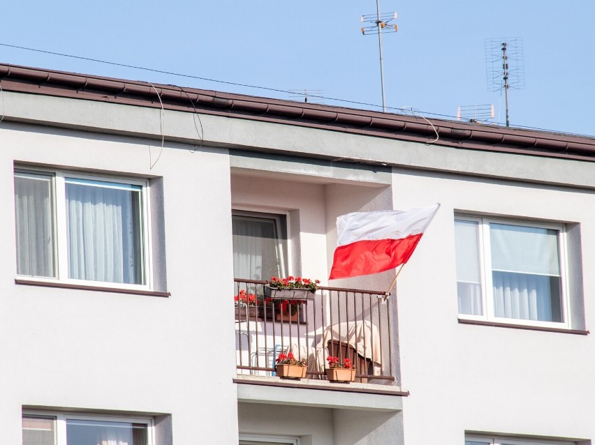 Obchody Święta Niepodległości w szkołach gminy Sędziejowice ZDJĘCIA