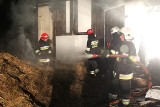 Kozy: kolejny pożar na ul. Świerkowej, straty sięgają kilkadziesiąt tysięcy złotych