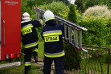 Straż pożarna w Kaliszu: Płonęły działkowe altany przy ulicy Młynarskiej [ZDJĘCIA]