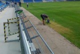 Na stadionie malowano trawę na zielono?
