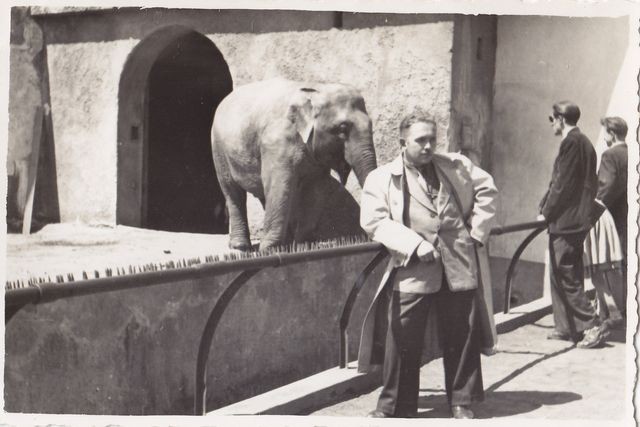 Wycieczka do zoo. Lata 50.-60. XX w. Fot. autor nieznany....