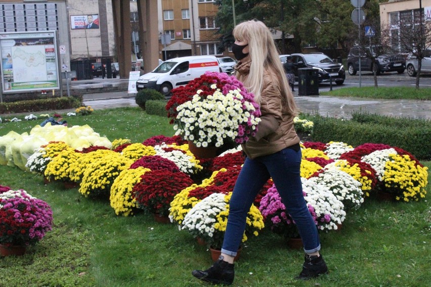 Powstał dywan z kwiatów od protestujących kobiet w Legnicy