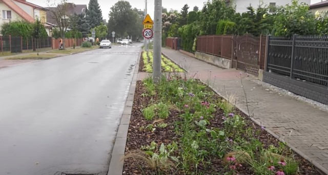 Ulica Trzeciaków w Ostrowcu Świętokrzyskim zmienia się na oczach mieszkańców