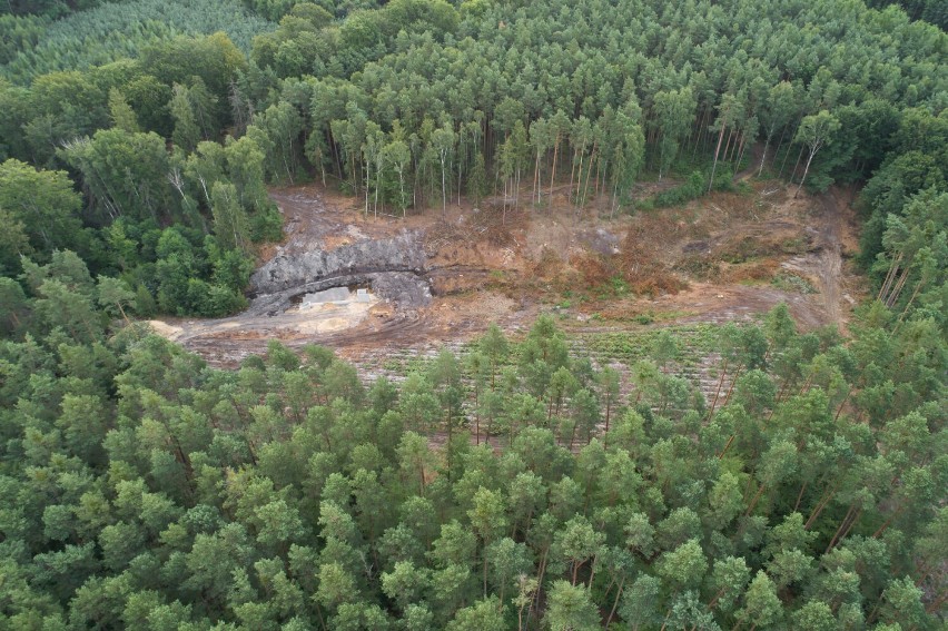 Nadleśnictwo Oleśnica Śląska zbuduje zbiorniki wodne