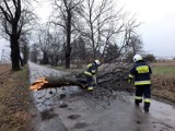 Będzie wiało. Instytut Meteorologii i Gospodarki Wodnej wydał ostrzeżenie dla powiatu obornickiego