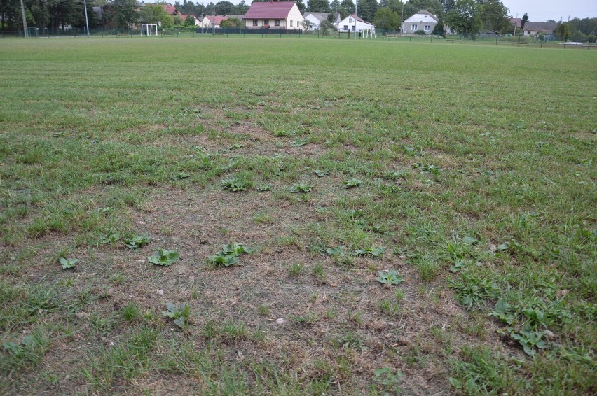 Piłkarze Korony Niedzieliska krytykują stan techniczny...