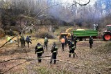 Pikulice. Akcja porządkowania Fortu IV Optyń w Twierdzy Przemyśl [ZDJĘCIA, WIDEO]