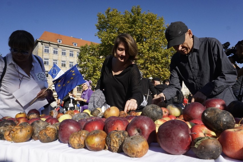 Poznań przeciwko nacjonalizmowi za zjednoczoną Europą -...