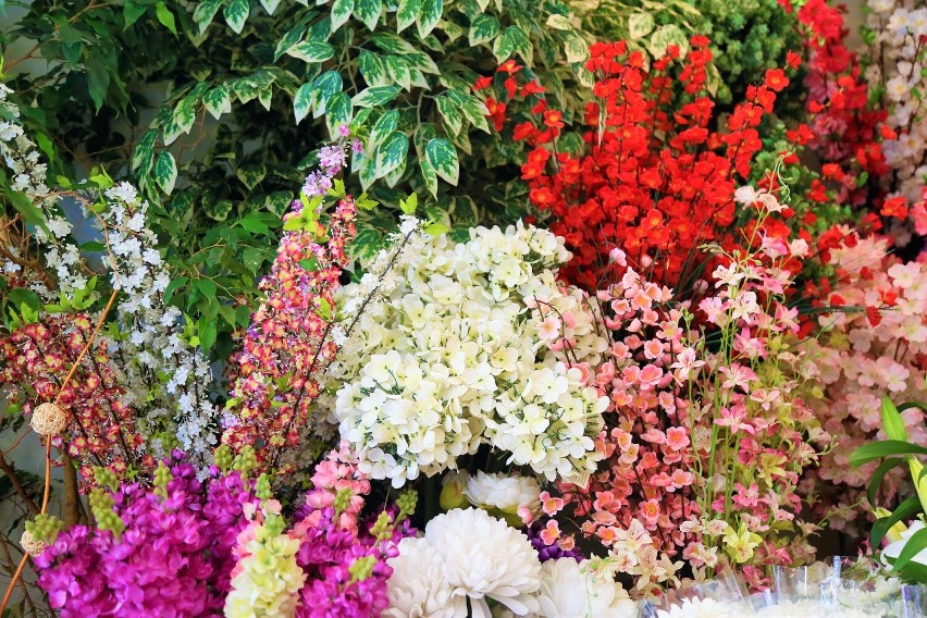 Gdzie po piękne kwiaty w Białej Podlaskiej? Mieszkańcy mają swoje ulubione kwiaciarnie. Do której warto się wybrać?