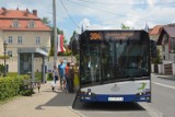 Kraków i Wieliczkę połączy nowa linia autobusowa?