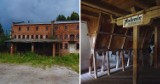 Nowy zabytek na Mazowszu. Młyn hrabiego Zamoyskiego ma ponad 150 lat. Dziś jest dziełem architektonicznym 