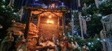 Przepiękna szopka w kazimierskim kościele. Bożonarodzeniowy wystrój świątyni zachwyca i pobudza do refleksji  