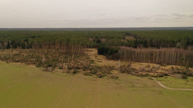 Polscy Łowcy Burz nie mają wątpliwości. W nocy z 16 na 17 lutego nad Izdebnem przeszła trąba powietrzna!