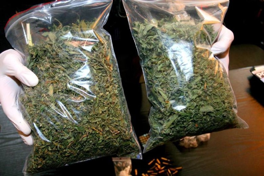 Puławy: zlikwidowano profesjonalną plantację marihuany