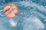 Jak usunąć mikroplastik z wody? Oto sposób potwierdzony naukowo. Metoda jest prosta i powszechnie dostępna