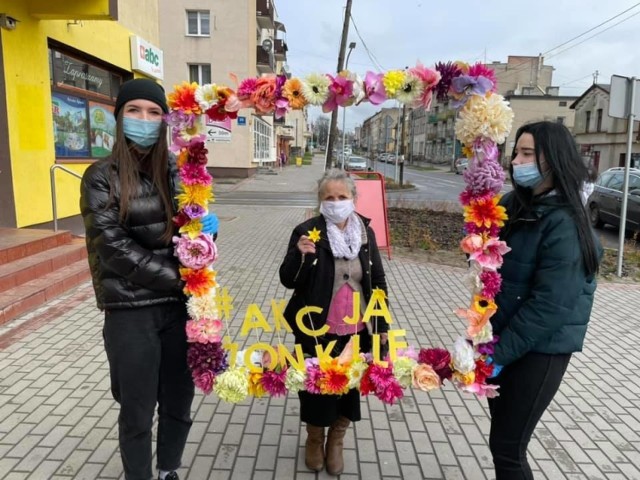 Mieszkańcy Jabłonowa Pomorskiego zostali obdarowani żonkilami