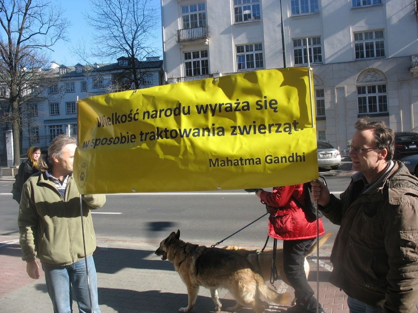 Zabijają psy przed EURO 2012. Warszawiacy: "Ukraino, wstydź się!"