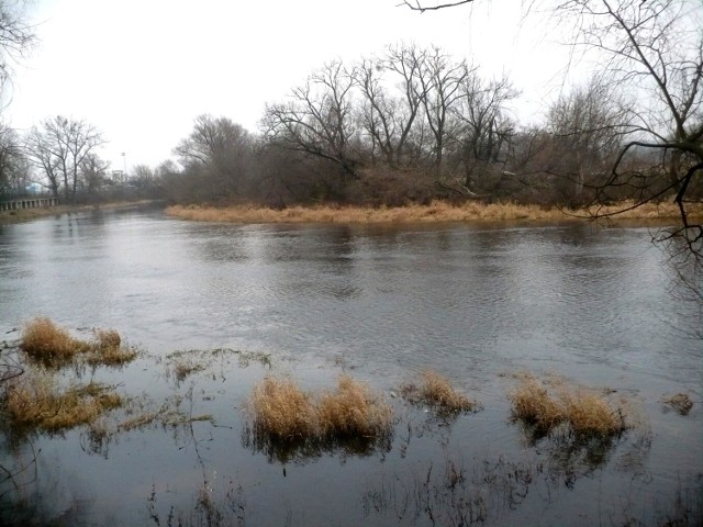 Narew jest zawsze piękna.