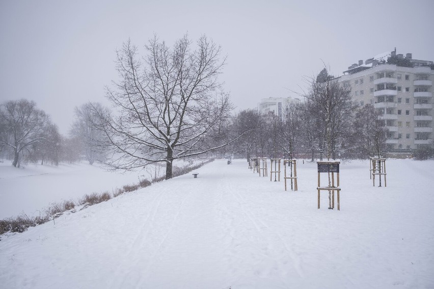 Park Kępa Potocka w zimowym wydaniu. Wygląda jak kraina śniegu skuta lodem