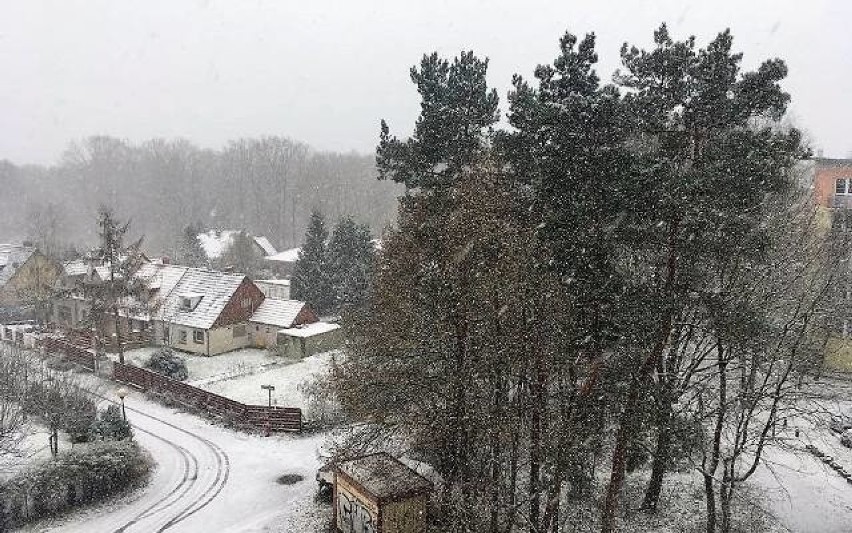 Synoptycy ostrzegają, że do Polski wraca zima. Czy to jej...