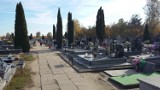 Na koluszkowskim cmentarzu stanie pomnik dziecka nienarodzonego. Aktualnie trwają prace nad projektem
